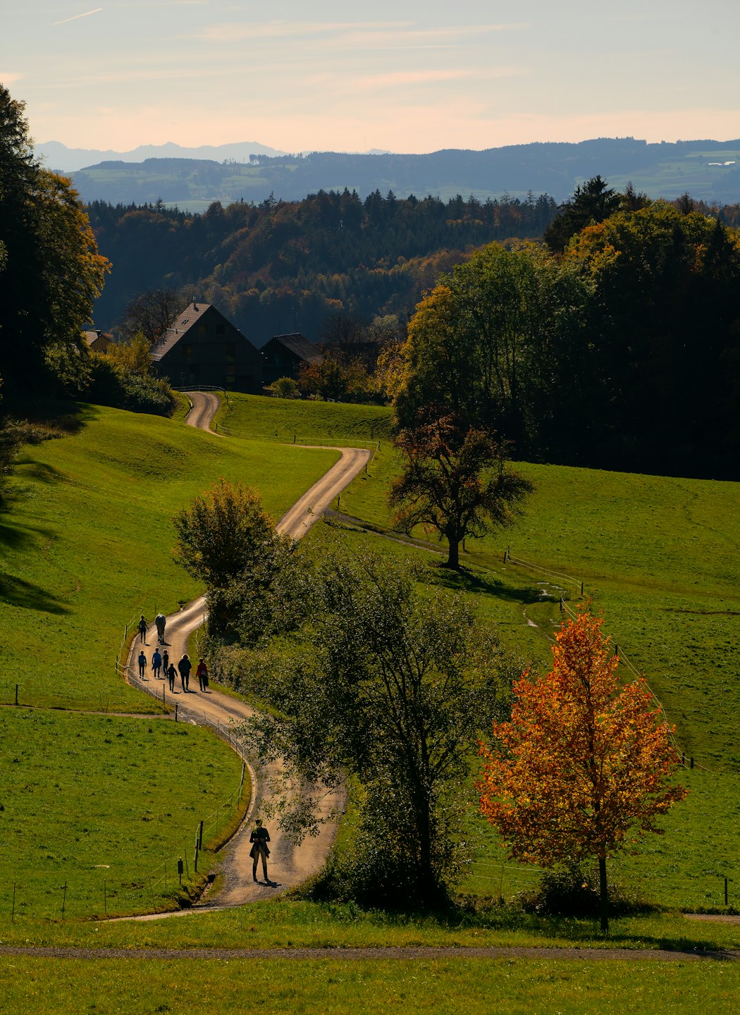 Hikers on a path through rolling hills in autumn.