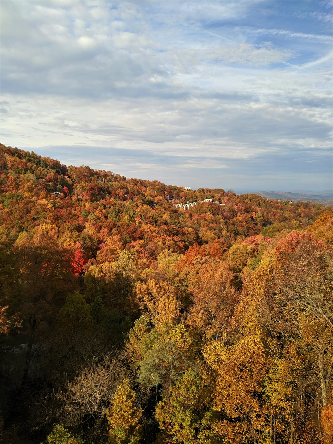 Rolling hills covered in autumn leaves with scattered houses.