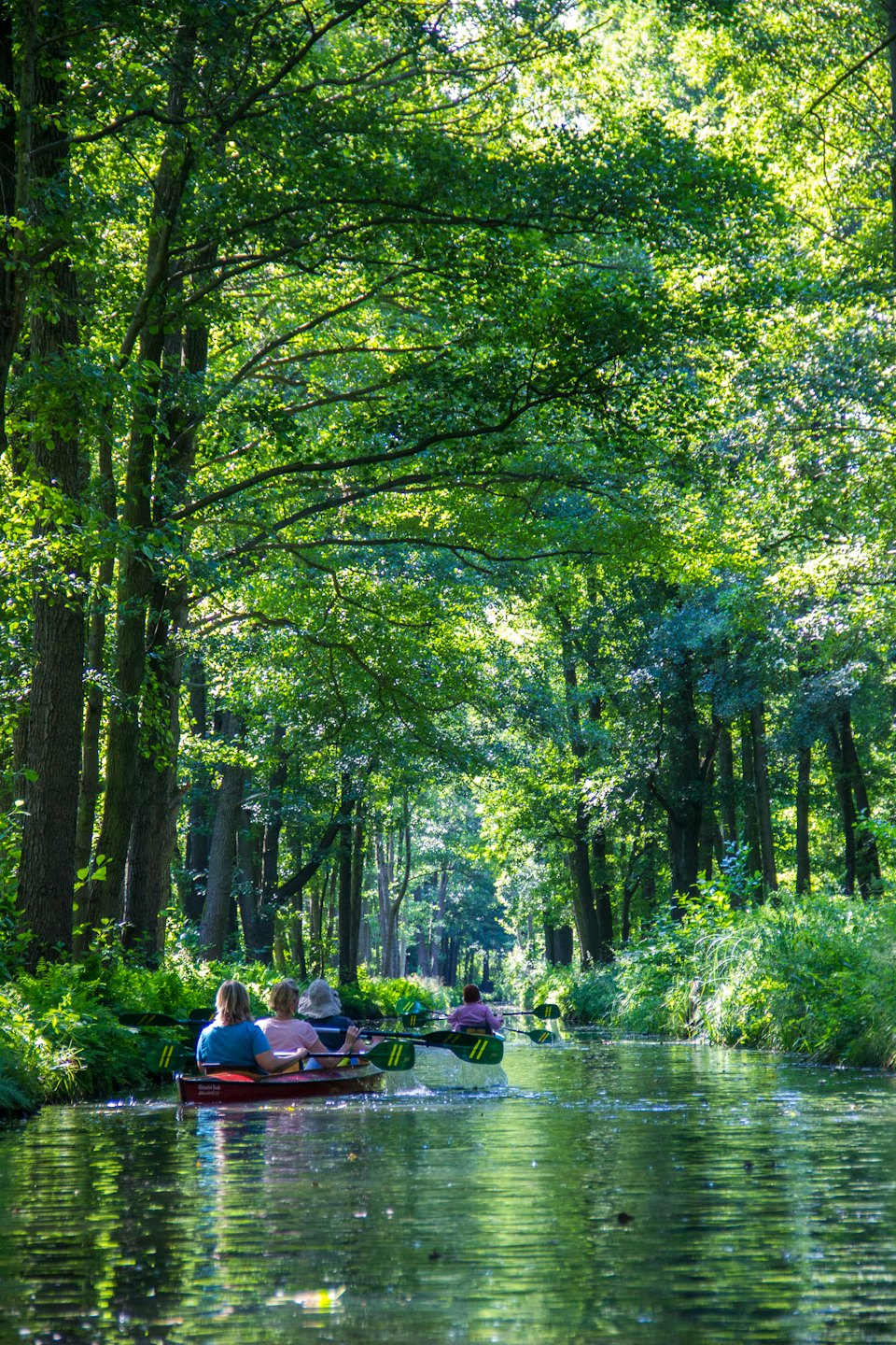 People paddle canoes down a sunlit river through green forests.