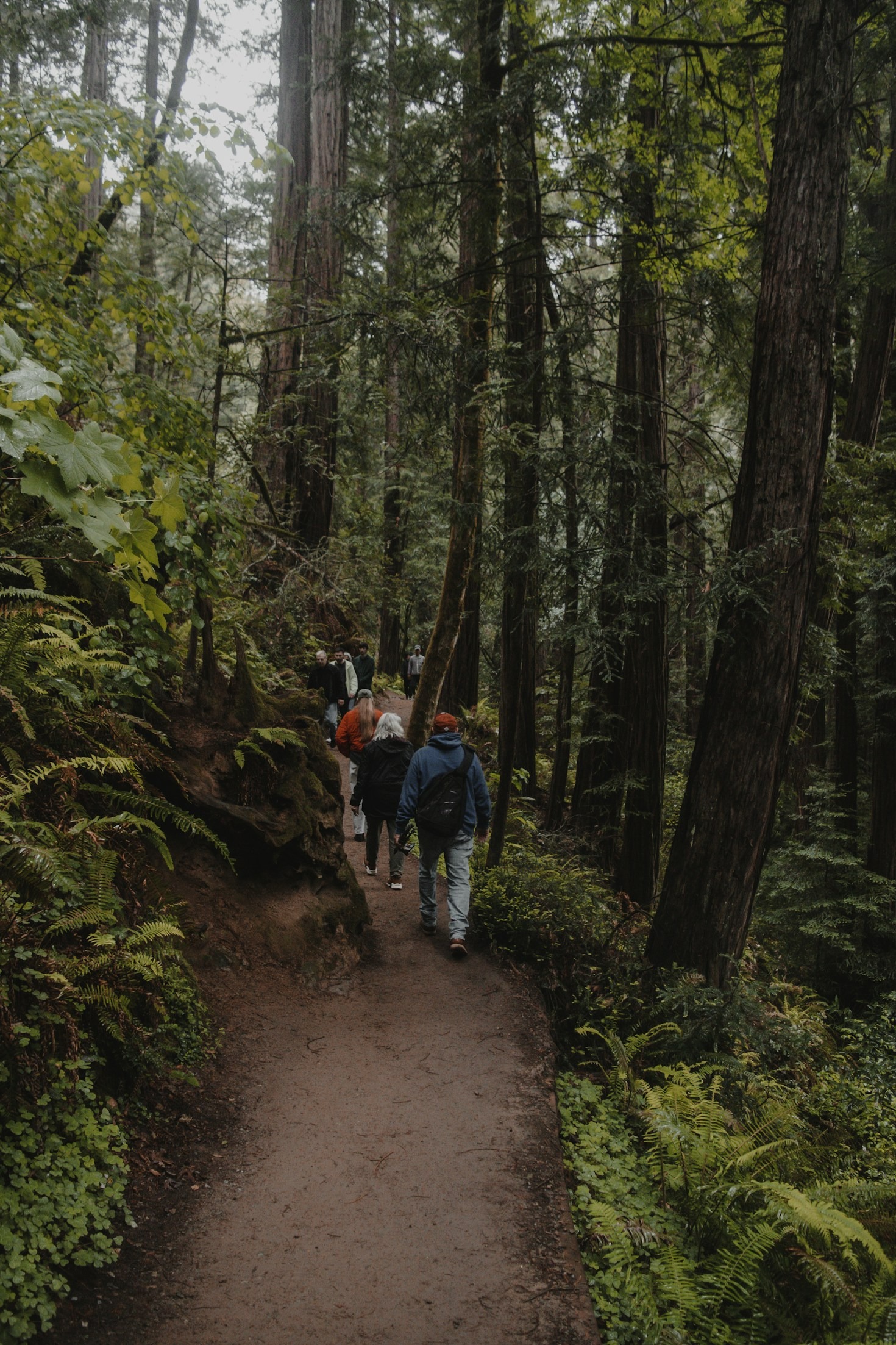 The Power of Shared Nature Experiences in Workplace Culture