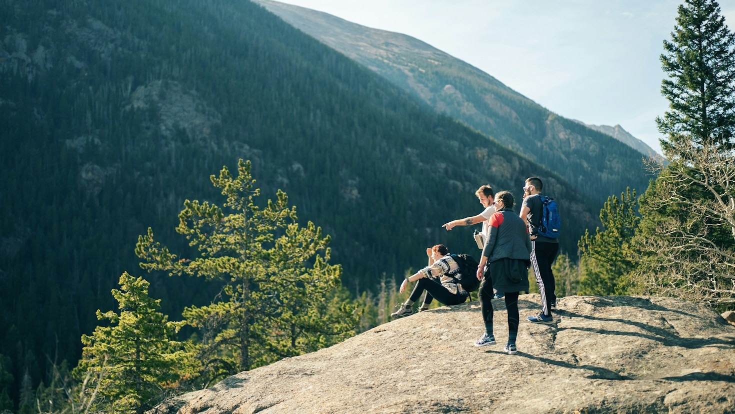 Creating Lasting Family Memories Along Scenic Forest Trails